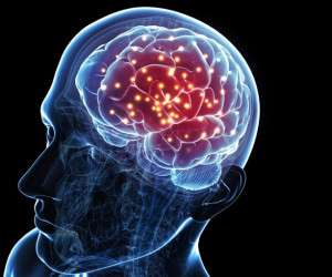 آیا واقعا انسان فقط از ۱۰ درصد مغز خود استفاده می کند؟