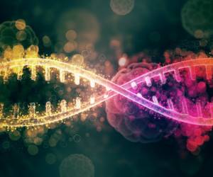 از چه چیزهایی می توان آزمایش دی ان ای (DNA ) گرفت؟