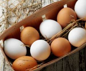 تخم مرغ سفید و قهوه ای چه فرقی با هم دارند؟