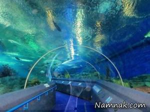 زیباترین تصاویر از تونل زیرآبی هزار کیلومتری در نروژ