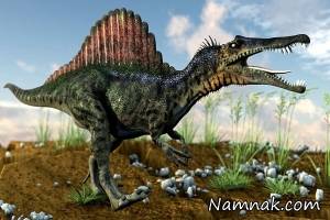 کشف جای پای دایناسور به اندازه قد یک انسان + عکس