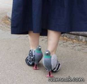 زنی که هر روز یک جفت کبوتر پا می کند! + تصاویر