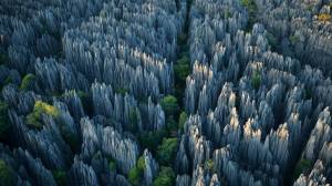 دیدنی های عجیب جنگل سنگی ماداگاسکار