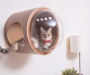 خانه های لاکچری برای گربه های خانگی + تصاویر