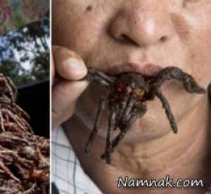 خوردن عنکبوت سرخ شده با نهایت لذت! + تصاویر
