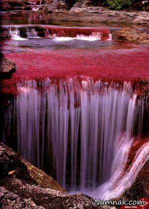 رودخانه خون آشام در پارک ملی کلمبیا + عکس