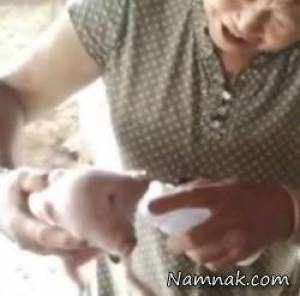 تولد خوک دوسر وحشتناک در چین + تصاویر