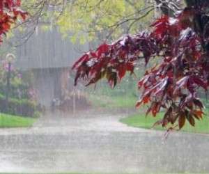 حقایق جالب در مورد باران ، افرادی که باران آنها را می کشد!