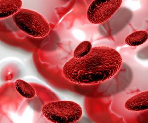 کشف راه درمان سرطان خون با نوعی پروتئین