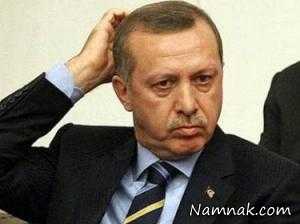 پرنده لجباز روی سر رئیس جمهور ترکیه + عکس