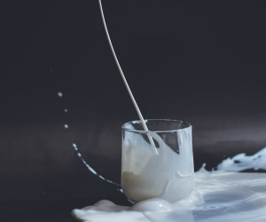 روز جهانی شیر با حقایقی مهم