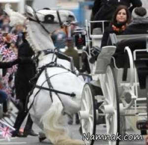 سکته اسب درشکه وسط مراسم رژه + تصاویر
