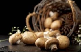 ماسک نوعی قارچ به جای بوتاکس !