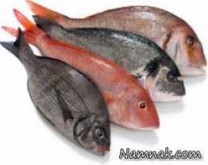 کدام ماهی ها سرطان زا هستند؟