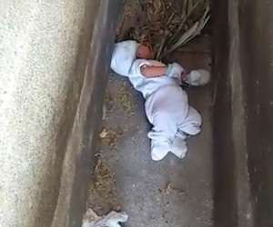 کشف نوزاد ۲ ماهه از داخل قبر خالی + عکس