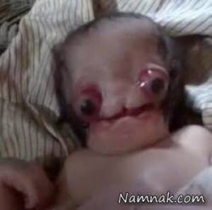 تولد ترسناک ترین نوزاد جهان + فیلم و عکس ۱۸+