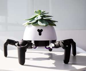 ساخت ربات جالب برای نگهداری از گیاهان! + عکس
