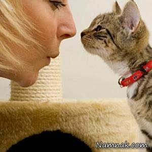 واکنش جالب گربه غیرتی در برابر بوسه یک دختر !! + ویدئو