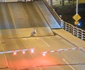 لحظه هولناک گیر کردن زن دوچرخه سوار در پل متحرک + فیلم