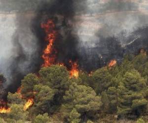 وقوع ۲۴۰ مورد آتش سوزی در ۱۱ استان کشور